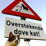 10 Bizarre road signs from around the world