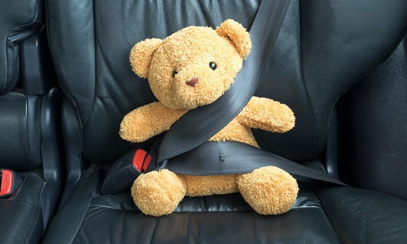 Teddy bear in seatbelt